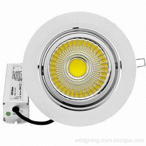20W COB LED Down-light (360 degrees rotatable)